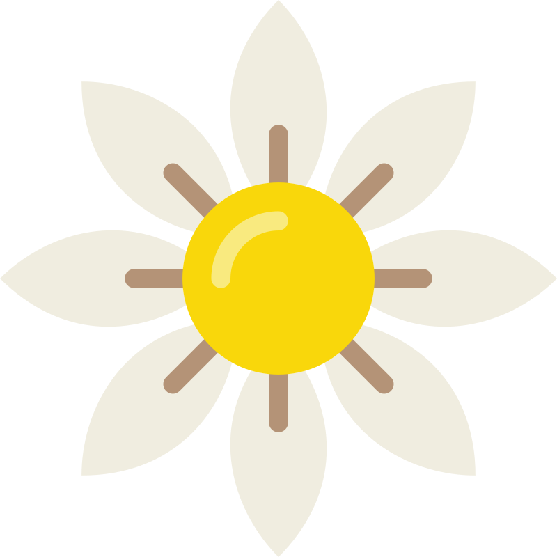 daisy-flower-svgrepo-com